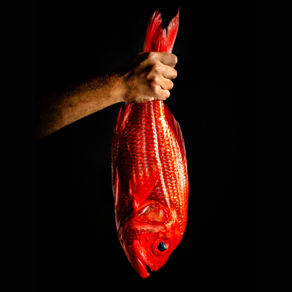 Rockpool Bar & Grill Perth Seasonal Tasting Menu Campaign Tile